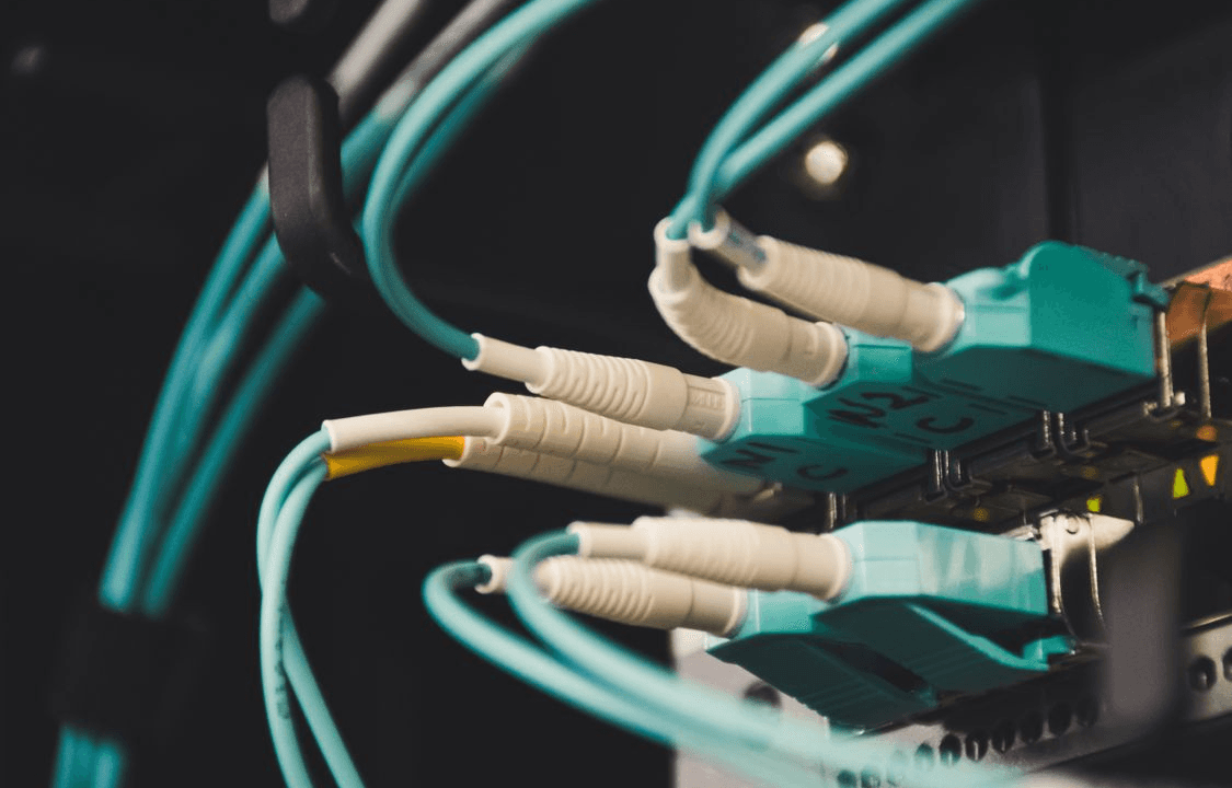 Cables de fibra óptica conectados a un panel de red